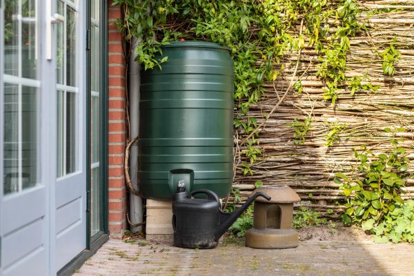 A,Green,Rain,Barrel,To,Collect,Rainwater,And,Reusing,It
