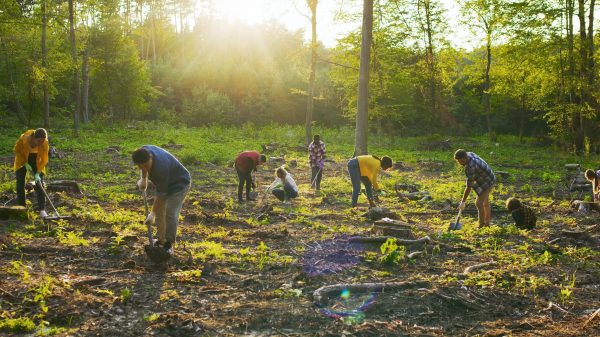 Group,Of,Multicultural,Happy,Eco,Activists,Plants,Tree,At,Sunset.